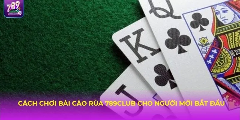 Cách chơi bài cào rùa 789CLUB cho người mới bắt đầu