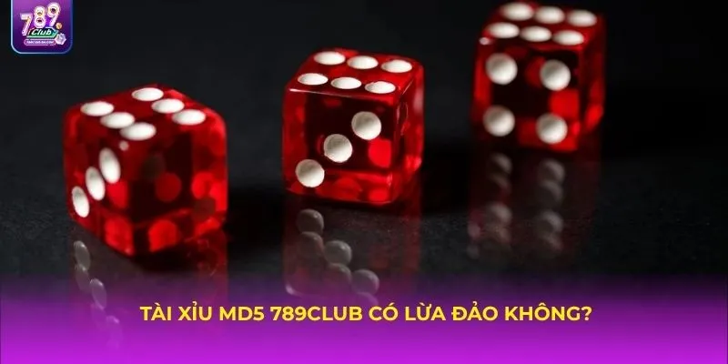 Tài xỉu MD5 789CLUB có lừa đảo không?